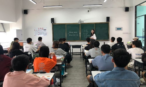 厦门学大教育与淘学培训 解析艺考文化课补习与艺术培训的选择