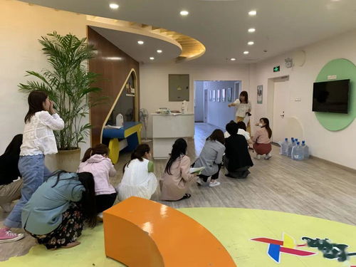 阳光伙伴艺术团顺利通过校外培训机构复训核验，开启艺术培训新篇章