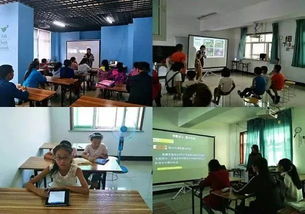 昌吉市规范艺术培训市场，8家合格营利性民办培训机构名单公布