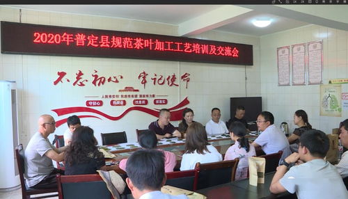 全县规范茶叶加工工艺培训及交流会顺利召开